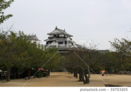 松山城堡在夏末 松山城堡在夏末 39703805
