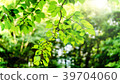 Welcome 39704060