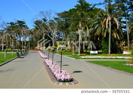 Miyako Botanik Garden Aoshima(宮崎縣立Aoshima亞熱帶植物園)充滿熱帶氣息的植物園 Miyako Botanik Garden Aoshima(宮崎縣立Aoshima亞熱帶植物園)充滿熱帶氣息的植物園 39705581