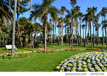 Miyako Botanik Garden Aoshima (Miyazaki Prefectural Aoshima Subtropical Botanical Garden) A botanical garden full of tropical mood 39705584