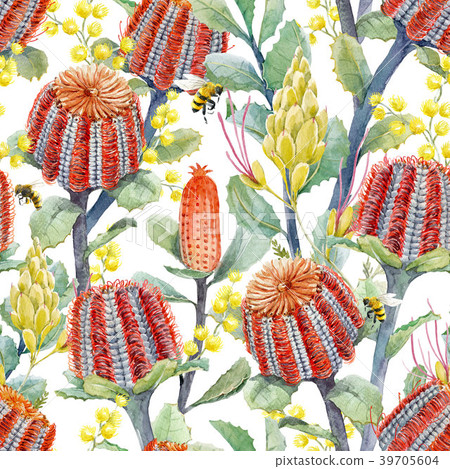 Watercolor australian banksia floral pattern 39705604