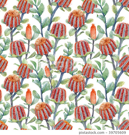 Watercolor australian banksia floral pattern 39705609