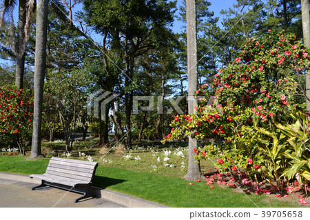 Miyako Botanik Garden Aoshima(宮崎縣立Aoshima亞熱帶植物園)充滿熱帶氣息的植物園 Miyako Botanik Garden Aoshima(宮崎縣立Aoshima亞熱帶植物園)充滿熱帶氣息的植物園 39705658