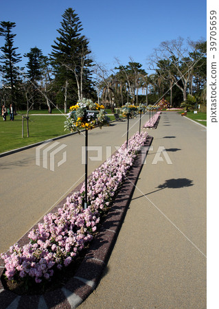 Miyako Botanik Garden Aoshima（宮崎縣立Aoshima亞熱帶植物園）充滿熱帶氣息的植物園 39705659