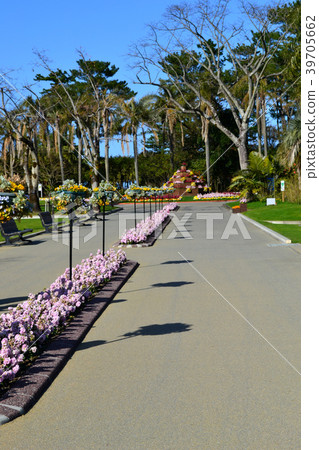 Miyako Botanik Garden Aoshima (Miyazaki Prefectural Aoshima Subtropical Botanical Garden) A botanical garden full of tropical mood 39705662