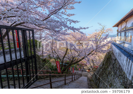 櫻花（和歌山三月Kimii寺） 39706179