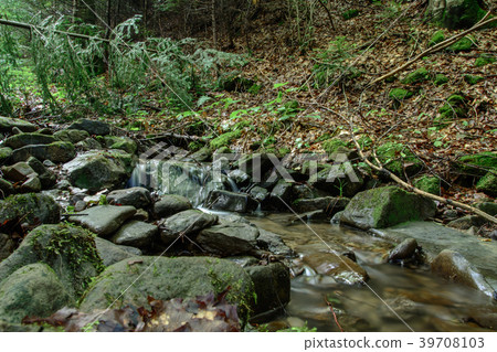 Magic mountain stream in the Carpathian forest. Magic mountain stream in the Carpathian forest. 39708103