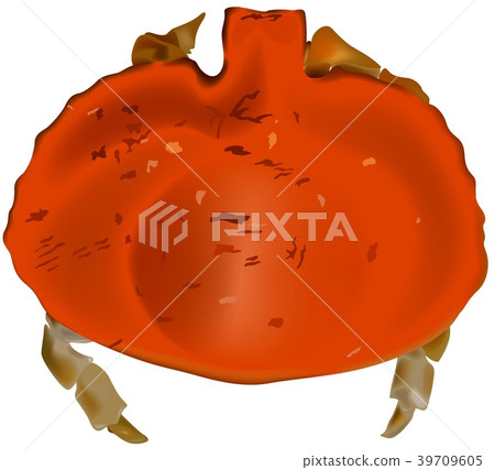Red Crab Red Crab 39709605