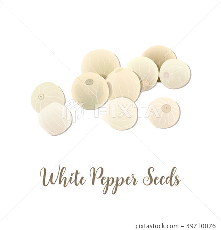 White pepper seeds on white background, top view 39710076