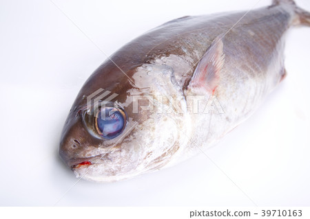 Metai Metai 39710163