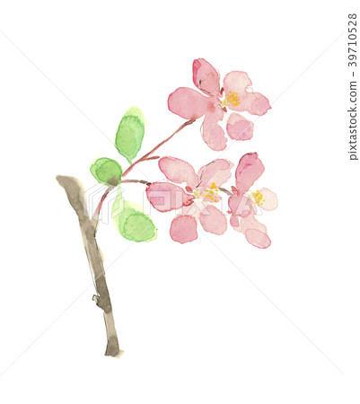 Peach peach Peach peach 39710528