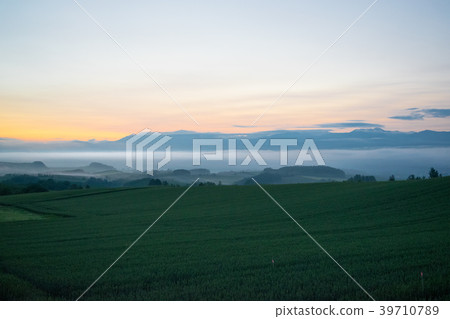 晨霧小山黎明小山風景Biei Kamifurano Furano 晨霧小山黎明小山風景Biei Kamifurano Furano 39710789