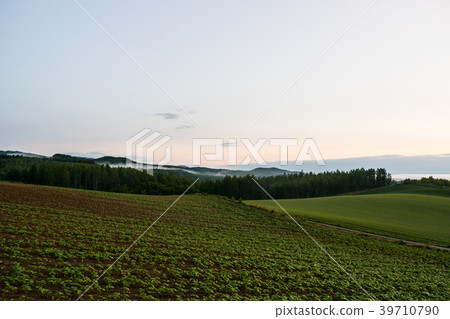 Morning fog hill Dawn hill landscape Biei Kamifurano Furano Morning fog hill Dawn hill landscape Biei Kamifurano Furano 39710790