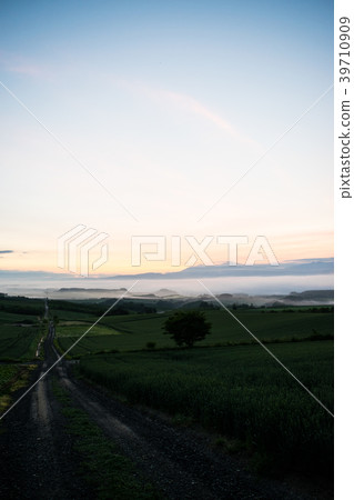 晨霧小山黎明小山風景Biei Kamifurano Furano 晨霧小山黎明小山風景Biei Kamifurano Furano 39710909