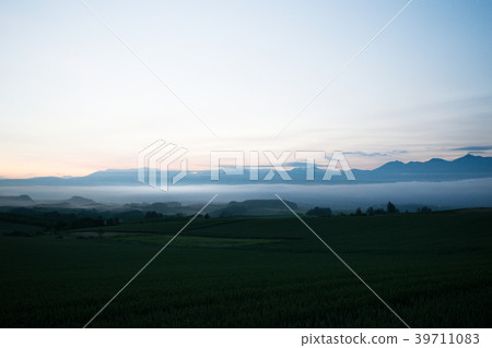 晨霧小山黎明小山風景Biei Kamifurano Furano 39711083