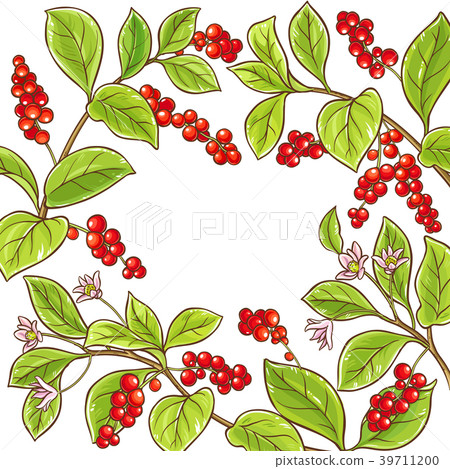 schisandra branch vector frame schisandra branch vector frame 39711200