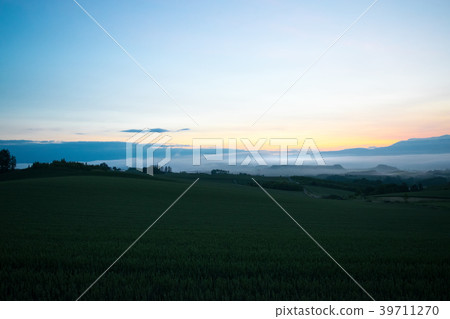 Morning fog hill Dawn hill landscape Biei Kamifurano Furano 39711270