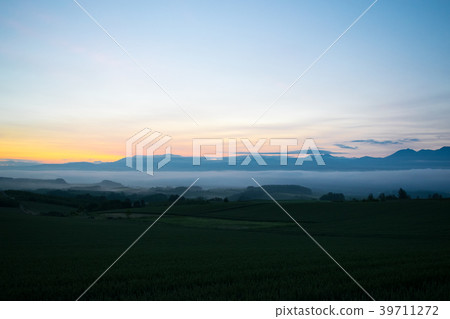 晨霧小山黎明小山風景Biei Kamifurano Furano 39711272