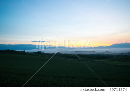 Morning fog hill Dawn hill landscape Biei Kamifurano Furano Morning fog hill Dawn hill landscape Biei Kamifurano Furano 39711274