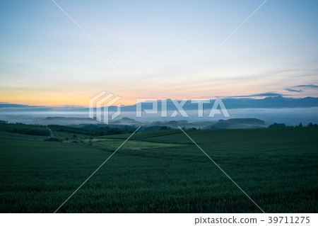 Morning fog hill Dawn hill landscape Biei Kamifurano Furano Morning fog hill Dawn hill landscape Biei Kamifurano Furano 39711275