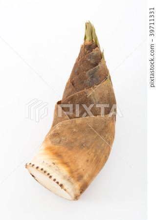 竹筍 竹筍 39711331