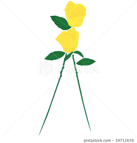 Yellow rose illustration - Stock Illustration [39711638] - PIXTA