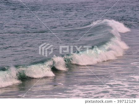 The white waves that gently hit the shore are illuminated by the setting sun and are dyed in a faint pink color. The white waves that gently hit the shore are illuminated by the setting sun and are dyed in a faint pink color. 39712129