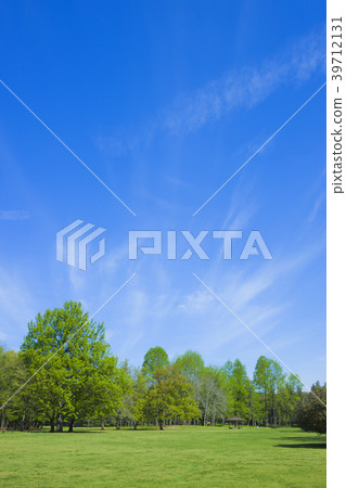 Park blue sky Park blue sky 39712131