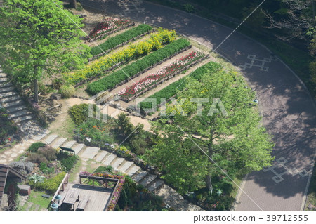 Kobe Haibu Garden ~ Joyous garden ~ Kobe Haibu Garden ~ Joyous garden ~ 39712555