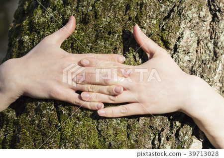 Men's and woman's hands hugging a tree. Men's and woman's hands hugging a tree. 39713028