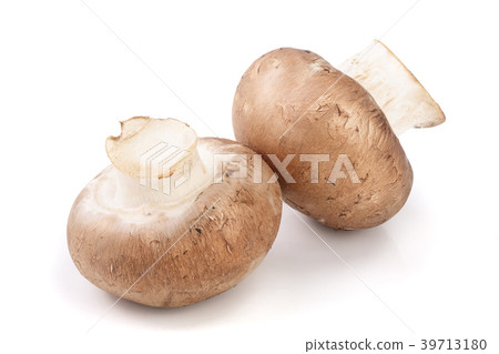 Royal Brown champignon isolated on white 39713180