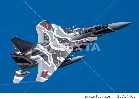 飛行教練F-15DJ 39714465
