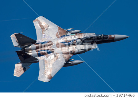 飛行教練F-15DJ 39714466