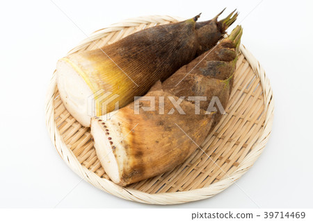 bamboo shoots bamboo shoots 39714469