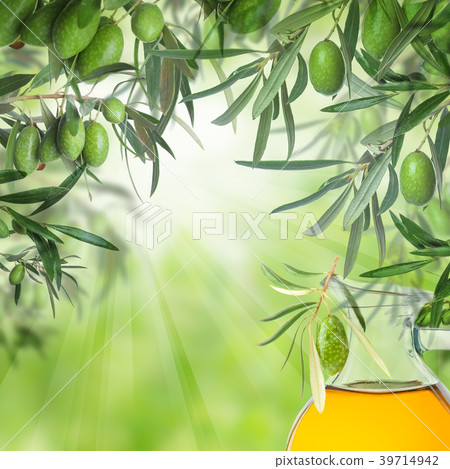 Raw kalamata olives on olive tree twig and oil Raw kalamata olives on olive tree twig and oil 39714942