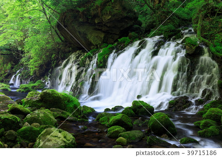 Motoyuki underwater water 39715186