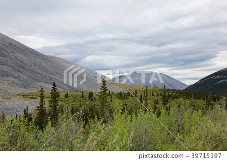 Landscape along Dempster Highway near Tombstone 39715197