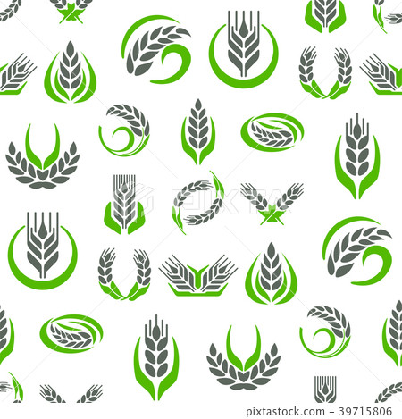 Cereal ears and grains agriculture industry 39715806