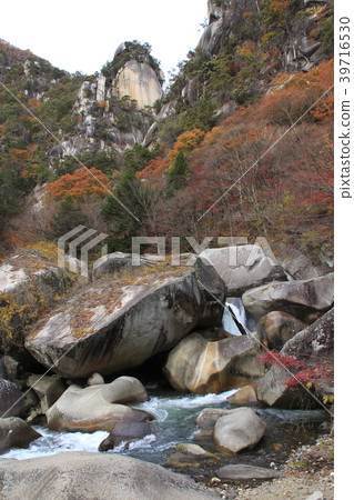 Shinkyō峽谷在秋天·Yen Yen峰頂 39716530