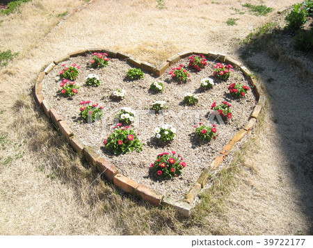 心形的花田 39722177
