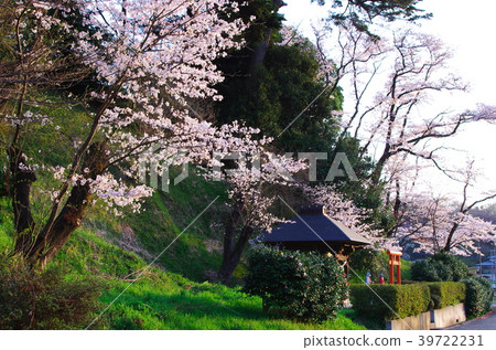 Spring in Aoba Ward, Yokohama City and Furusato Village Spring in Aoba Ward, Yokohama City and Furusato Village 39722231
