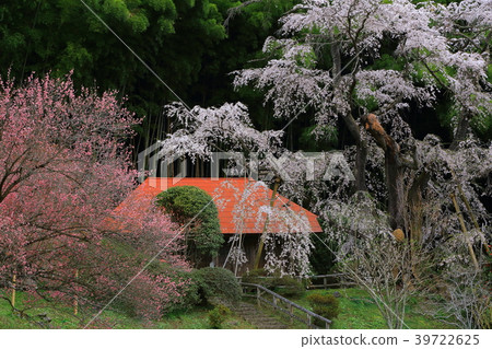 Yukimura, Koriyama City, Fukushima Prefecture Yukimura, Koriyama City, Fukushima Prefecture 39722625