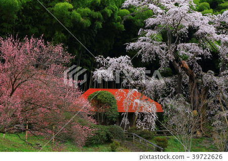Yukimura, Koriyama City, Fukushima Prefecture Yukimura, Koriyama City, Fukushima Prefecture 39722626