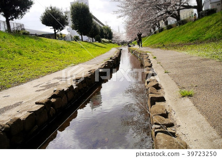 綠色路徑公園溪 39723250