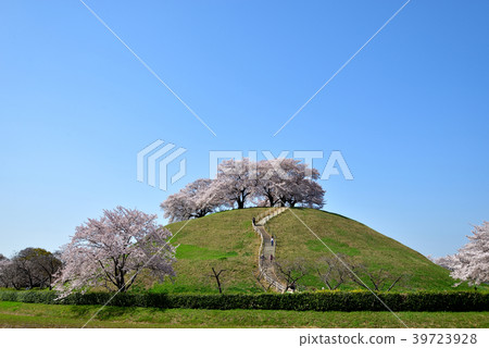 Sakitama Kofun Park 39723928