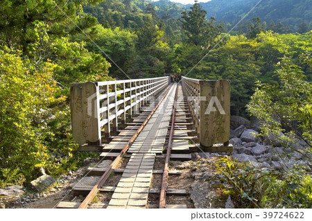 Yakushima Kosugi Tanihashi Yakushima Kosugi Tanihashi 39724622