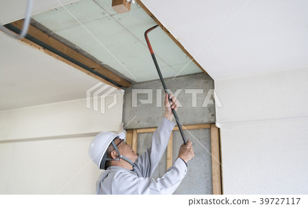 Mansion, Skeleton Reform, Demolition, Bar 39727117
