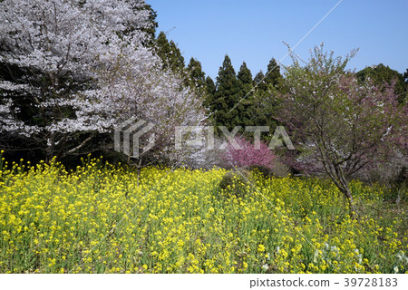 Utsunomiya Toyosato Mahoroba no Sato Satoyama 39728183