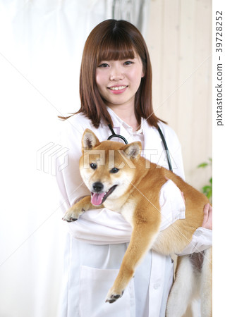 獸醫和柴犬（動物醫院） 39728252