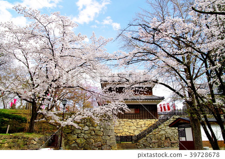 Sakura Ueda Castle Ruins Park 39728678
